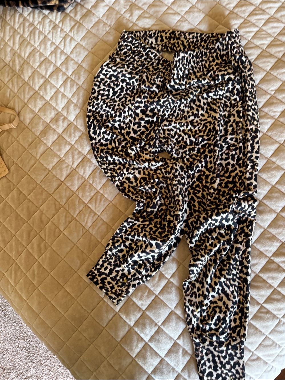 CAbi Leopard Print Joggers in Black & Cream